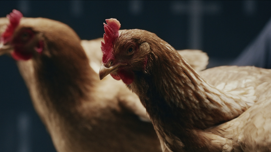 Wanna sell? Tell&nbsp;stories!